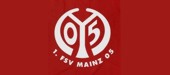 Sicherheitsservice für1.FSV Mainz 05